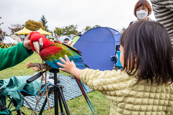 主に南米に生息するというベニコンゴウインコも会場に登場。子供たちの人気を集めていた。