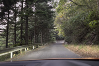 高ボッチスカイラインはこんな感じ。車外に出ての撮影も考えたが、クマが怖いので自重した。