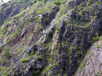 草ぐらいしか生えていない岩だらけの山の斜面で、職人たちが植林作業を続けていた。