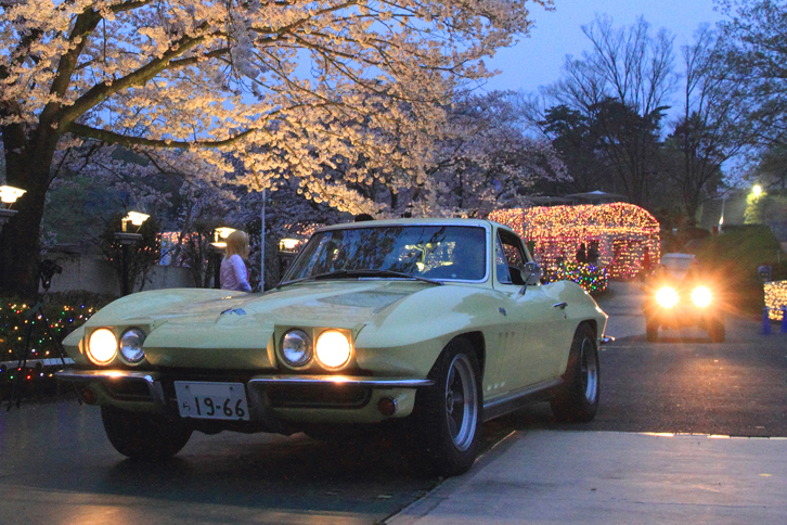 辺りがだいぶ暗くなった午後6時近くになって、参加車両のうち20台が園内に入り、「シボレー・コルベット スティングレイ（C2）」を先頭にゆっくりとパレード風に走行。