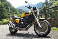 「トライアンフ・サンダーバードスポーツ」号も、まぁ同じような感じ。「トライアンフ東京」さんのおかげでメカはすこぶる元気だが、ボディーは線キズだらけだ（笑）。