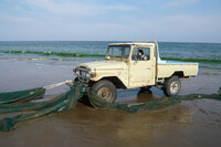 UAE（アラブ首長国連邦）の漁村にて、半世紀以上にわたり現役で活躍している40系「ランドクルーザー」。