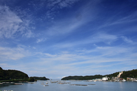 志摩半島周辺は、真珠の養殖で知られる。晴天の秋空の下、海面にはたくさんの養殖用イカダが浮かぶ。
    