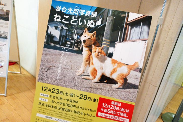 2017年末に西武池袋本店で催されていた、動物写真家 岩合光昭氏の写真展「ねこといぬ」。まあ、多くは語りますまい。ただただ最高でした。