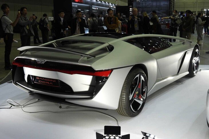 バンディーニ・ドーラ（2020年デビュー）