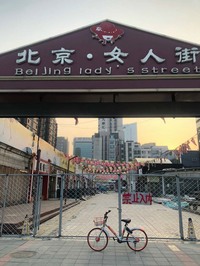 夢の「女人街」は、すでに閉鎖されていた。