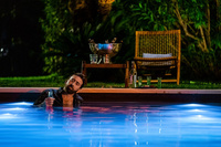 第258回： ニコラス・ケイジ完全復活！ 極上の自虐パロディー『マッシブ・タレント』の画像