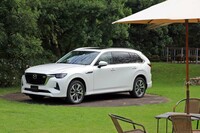 アクセサリーのボディーパーツ「シグネチャースタイル」の装着車。（写真：荒川正幸）