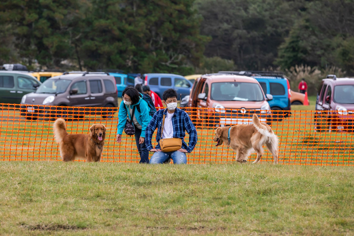 カングーエリア3に設けられたドッグラン。愛犬といっしょに参加し、一日中楽しめるのも「カングージャンボリー」の魅力だ。