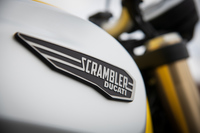 ドゥカティのラインナップの中でも、いまやすっかり大所帯となった「スクランブラー」シリーズ。エンジンのバリエーションは3種類、モデルは全11種類を数える。