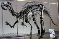 ボディには、恐竜の肋骨からヒントを得たという環状骨格構造の「リブボーンフレーム」を採用。4つの閉断面構造ピラーなどで、堅牢さをアピールする。