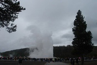 ひたすら東へ、東へ、とひた走る。