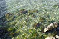 街に面した湖だというのに、水はこんなにきれい。