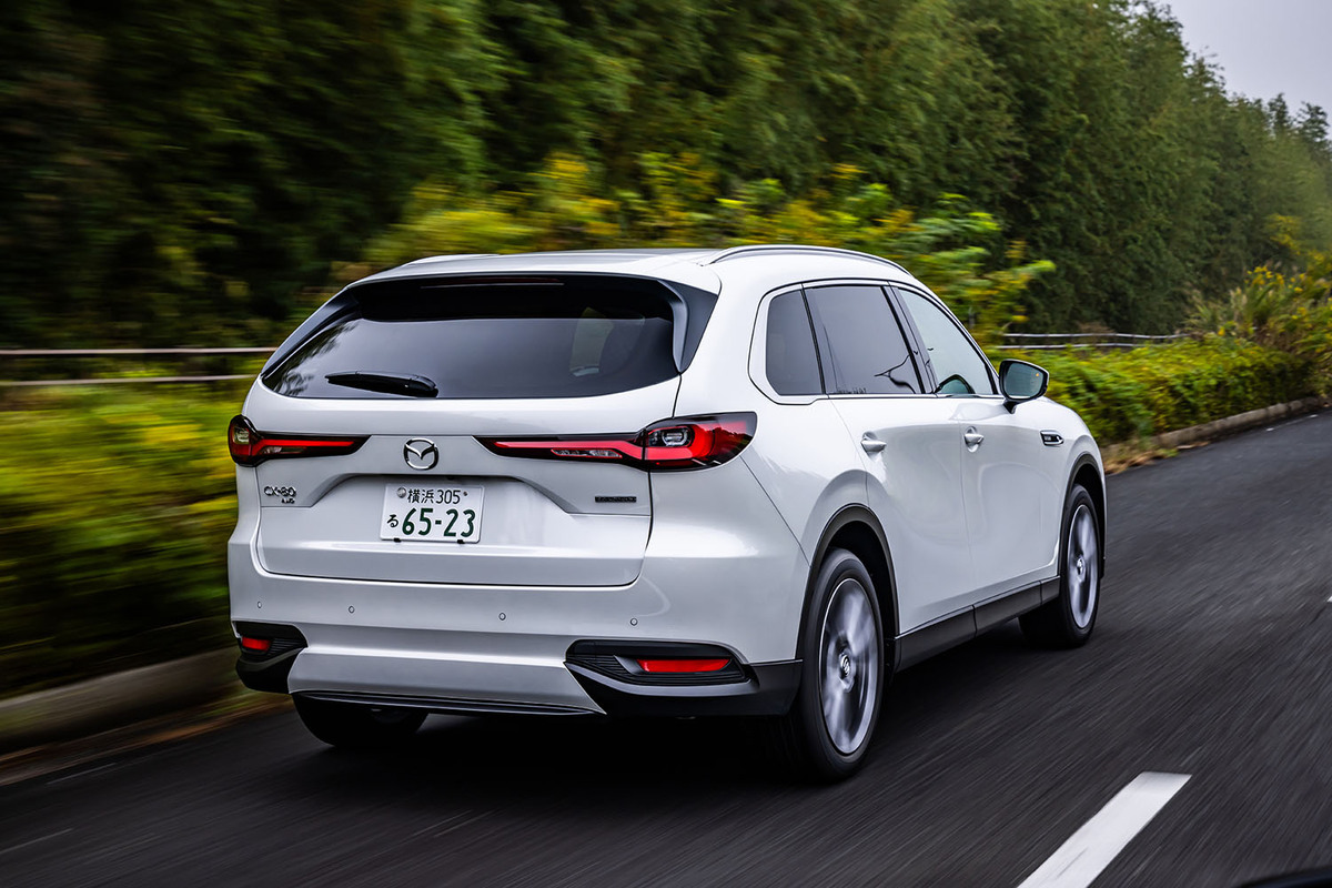 img_b3563a74c6f25bb5d27a353f54