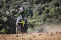 去る2022年に誕生20周年を迎えたスズキの「Vストローム」シリーズ。新型の「Vストローム800DE」からは、次の時代に臨むスズキの本気を感じることができた。