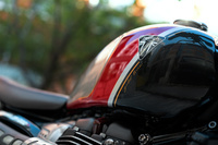 トライアンフが「ボンネビル」ほかにゴールドラインが特徴の特別仕様車を設定の画像