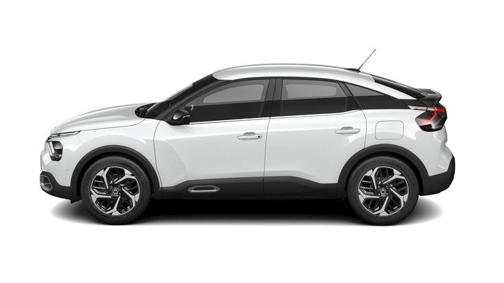 ブランバンキーズ