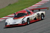 「グッピーMCS」