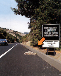 第15回：『アメリカ、環境保全の公共広告』の画像