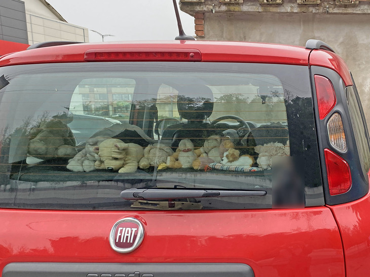 【写真A】「フィアット・パンダ」のマイルドハイブリッド仕様の後部に並べられた犬のぬいぐるみ。2022年9月撮影。