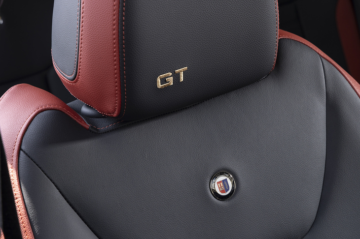 ヘッドレストには「GT」のステッチがあしらわれる。あえてセンターを外してレイアウトしているのがアルピナらしい奥ゆかしさだろうか。