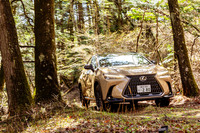 高く設定された地上高とオールテレインタイヤ、そして「トレイル」モードによるトラクション能力によって、ちょっとした林道であれば安心して足を踏み入れられる。