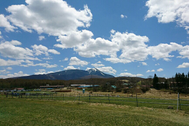 長野県の白樺高原にある長門牧場。快晴であたったため大自然の中、のびのびと過ごすことができた。（著者撮影）