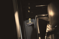 専用オーナメントの装着例。