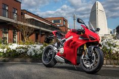 img_b730a0161936e71e16de55bcb3