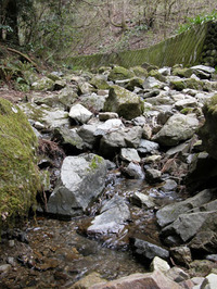 最終回：“奇跡の山”、高尾山に迫る危機その10：山に教わったこと（矢貫隆）の画像