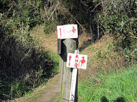 里山に踏み入れる遍路道。