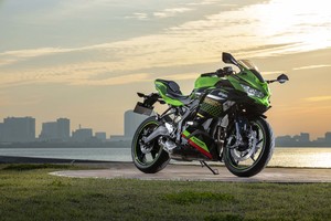 纯天然A级ジェダイト（白月光）天然高級緑色ジェダイト二色合わせたの