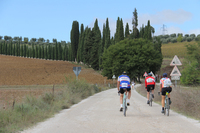 トスカーナの典型的風景である糸杉の丘を走り抜ける。下車して押すマイペース派も多数。なお、日本でも「L'Eroica」の公認姉妹イベント「L'英雄」が開催されている。