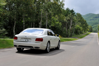 エクステリアにはシャープなラインと滑らかな曲面が混在する。リアフェンダーは上方に隆起し、力強さを表現している。