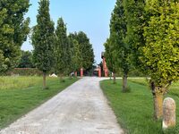 レナッツォ地区のアメリゴ・ヴェスプッチ通りは未舗装。そこからわずかに入ると、フェルッチョの生家は見えてくる。