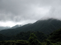 第62回：枯れゆくブナの山、檜洞丸（その11）（矢貫隆）