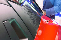 Cピラーの「ビッショーネ」。「トナーレ」ではガラスにプリントされていたが、「ジュニア」ではプラスチックパネルに施されている。