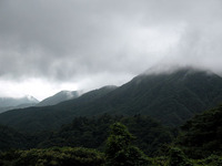 丹沢山塊に垂れこむ雲。ブナの木の立ち枯れは、酸性雨ではなく、「酸性霧」が原因であるという。そしてその酸性霧を辿れば、二酸化窒素の増大に行き着くことが明らかになった。つまり……。