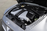 E85バイオ燃料でもガソリンでも、またはこの2種類を自由な割合でブレンドしても燃料として使えるフレックス燃料対応のW12エンジン。ただし日本においては燃料の供給体制と排ガスの認証試験がないため、使えるのはプレミアムガソリンのみ。従来型より25kg軽量になったとはいえ、2495kgあるボディーをスタートから4.8秒で100km/hに導き、最高速度314km/hまで引っ張りあげる。