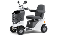 スズキセニアカー