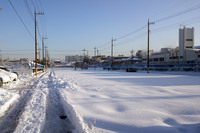 東京在住の皆さん、1月22日の雪は大丈夫でしたか？　武蔵野はまあこのザマでした。ちなみに、webCG藤沢青年は女神湖のロケでしたたかにコケたそうです。皆さんは気をつけてくださいね。いや冗談じゃなくて。