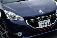 チェッカードフラッグをモチーフにした「208GTi」のフロントグリル。