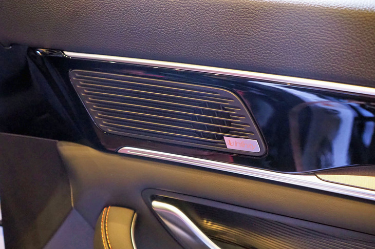 BYDシーライオン6（ドアのスピーカー）