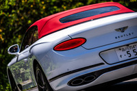 今回の試乗車は、フロントグリルやリアバンパーのインサート、モール、ヘッドランプとテールランプのベゼルなどがブラックとなる「Continentalブラックラインスペック」で仕上げられていた。