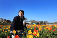 季節によってさまざまな花が楽しめる「館山ファミリーパーク」。取材日は早春の花であるポピー（ヒナゲシ）が一面に咲いていた。