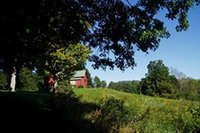 赤毛のアンと「ルート66」“米国31州　1万マイルの旅”（その4） エルビスの記念館と、いよいよR66本番への画像