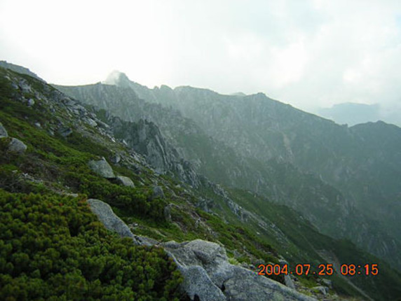 木曽駒ケ岳は全山が花崗岩から成っている。岩塊はその大きさに関係なく移動をしなくなっており、だからこの斜面では大きな岩の周囲が植物で覆われている。