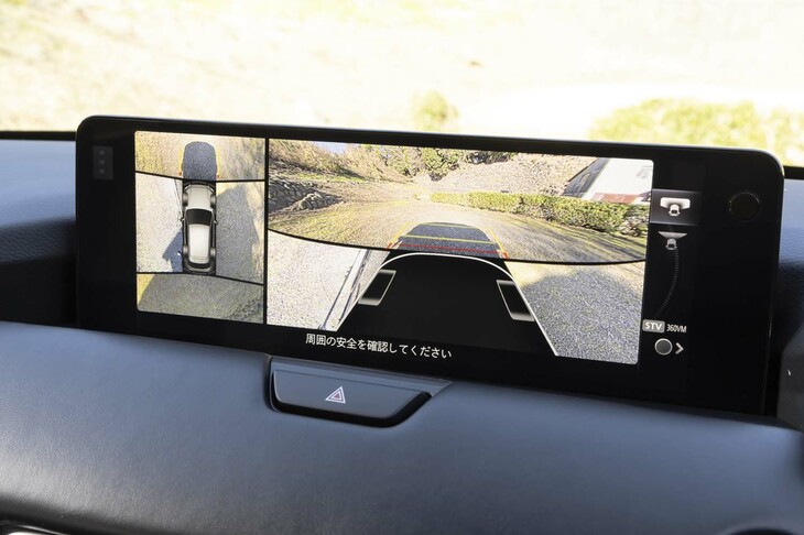 路面（枯れた芝生）の質感が分かるほど高精細な360度カメラ。前後用と左右用で色温度が違うのがちょっと気になる。