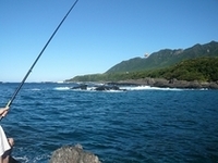 屋久島で釣りしました。見たことないサカナ続出。
