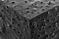 新たに採用された“スーパー吸水ゴム”の顕微鏡写真（50倍モード）。